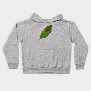 Ladybug on a Leaf Kids Hoodie